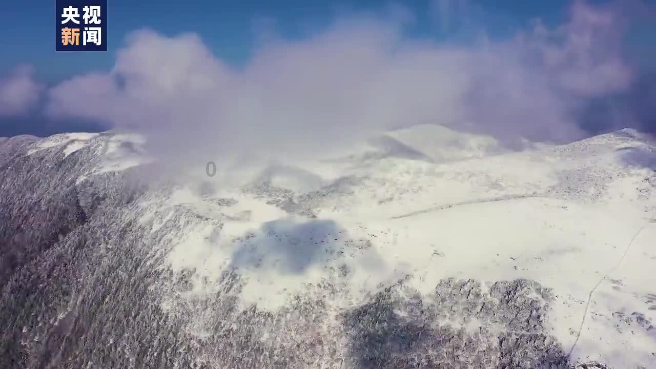 驾照换证在外地能办吗？超期要回核发地恢复吗？车买半年给亲属能保留号牌吗？