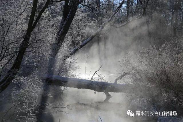 逃出无人荒岛