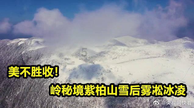 超30万手买单抢筹上海本地龙头股