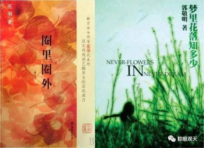 国标两爪插头能插美标插座吗？