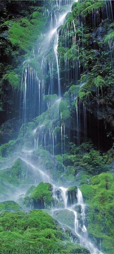 一顿浪漫晚餐