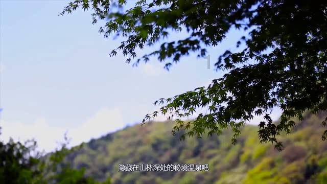 月光影视
