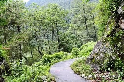 小魔仙的闺蜜装