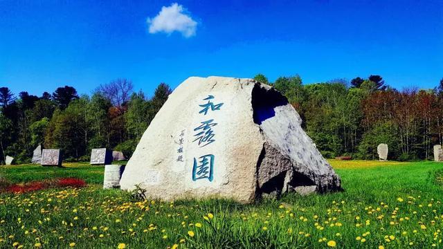 联合健康跌0.93% 股价跌破500美元大关