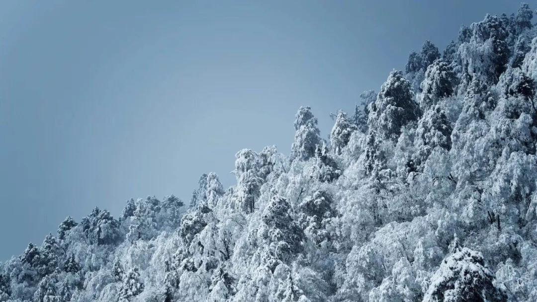 古怪巫师逃离村庄
