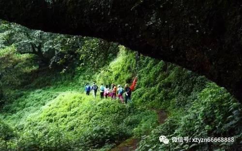 燃烧吧大脑免广告最新版