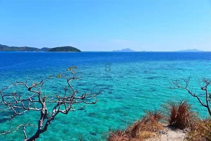 熊出没百层大冒险