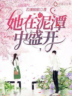 精灵的故事