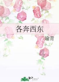 戎马丹心汉匈决战