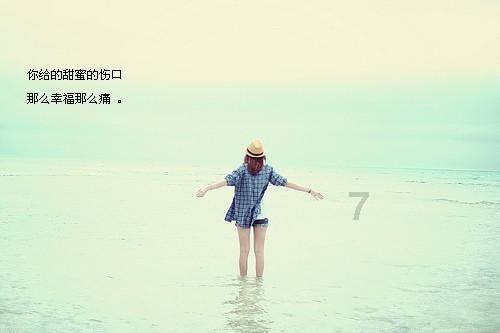 虫虫助手下载