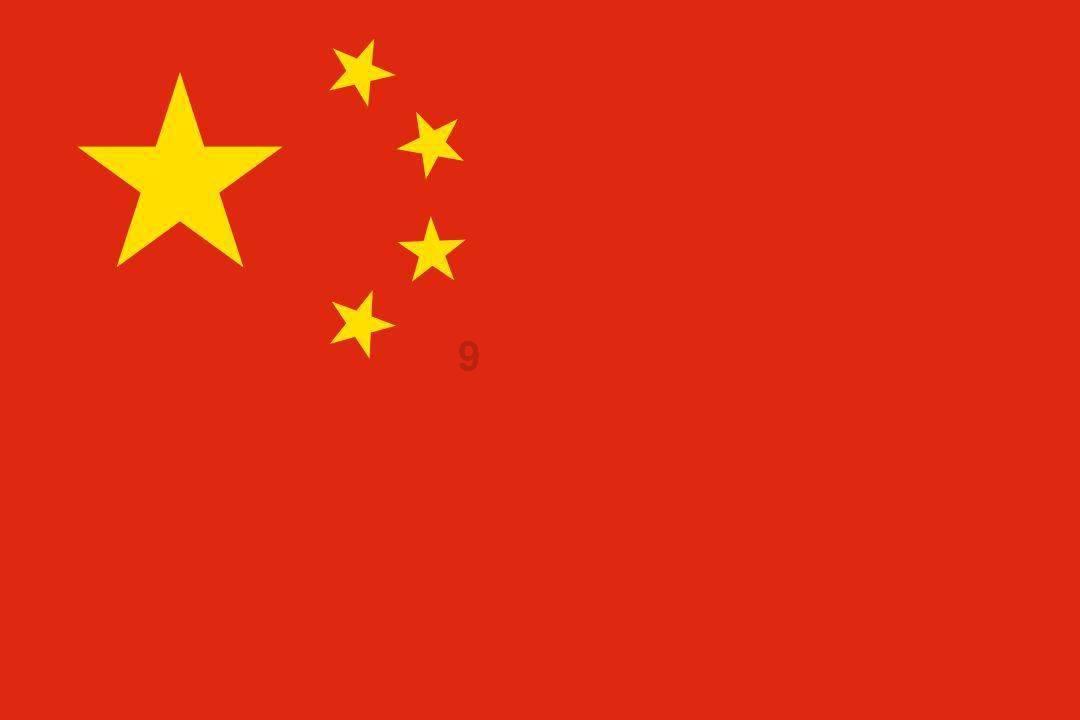 破碎的动物图形3
