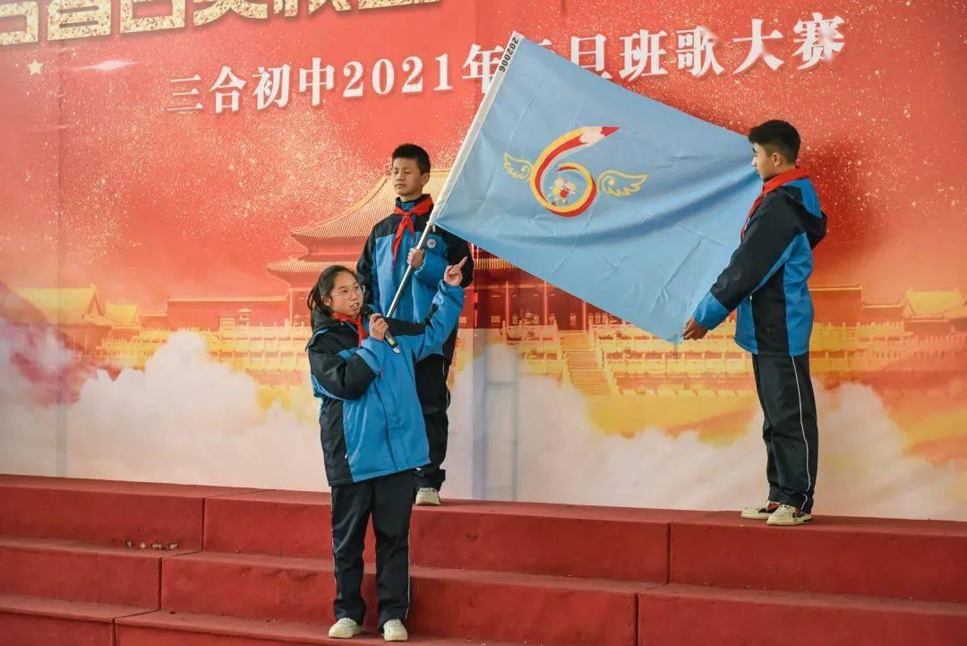 寻找萌宠松鼠