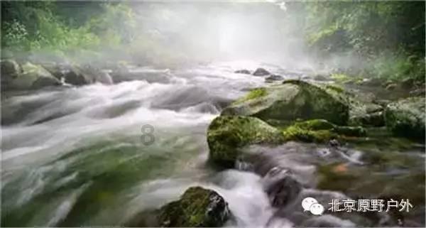 深入探索知识星球平台,畅享这电影的反转多到数不过来?乐园