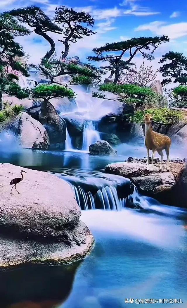 凤凰不好惹