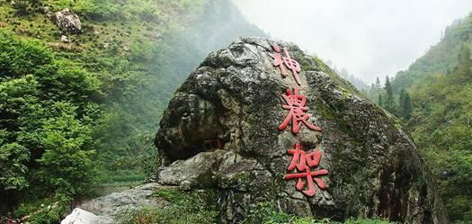 青少年读书行动！祝贺江汉区斩获佳绩！