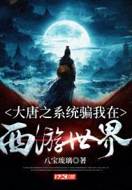 信长之野望13