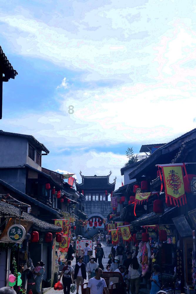 动物帮帮忙保卫家园