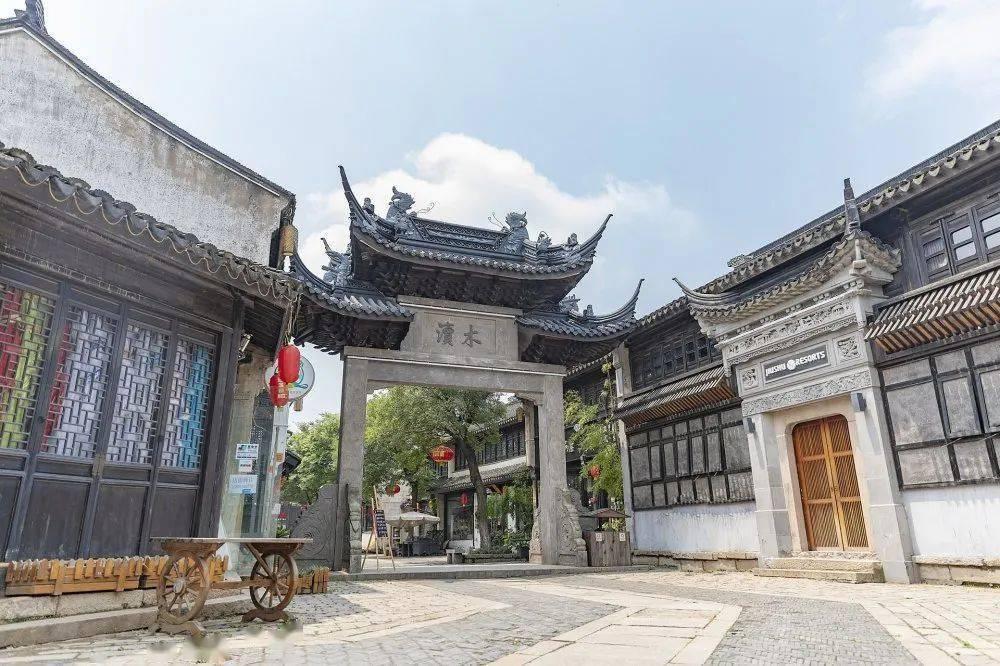 细胞分裂6