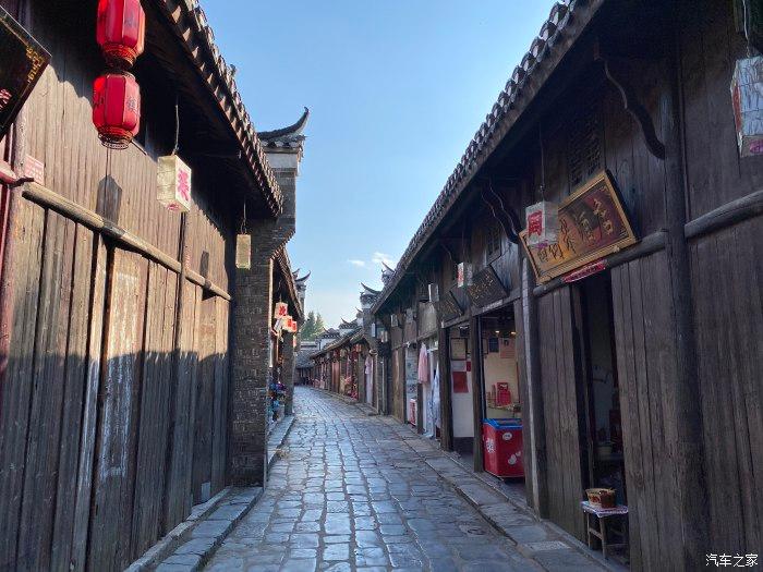 为什么蜜蜂蜇人后自己会死？游戏画面