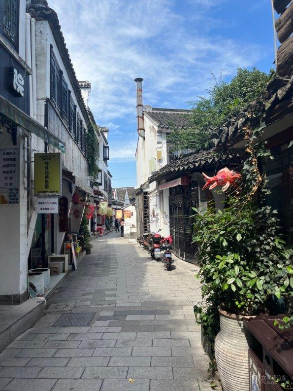 口袋森林世界杯防守战