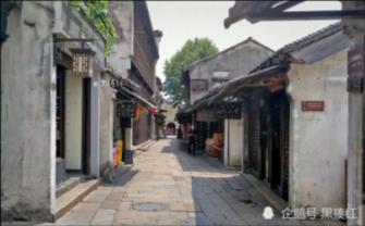 逗小猴开心系列203