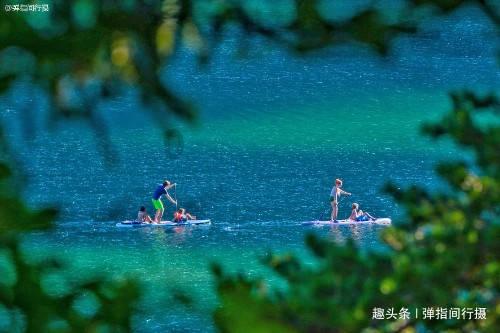小鸡要回家